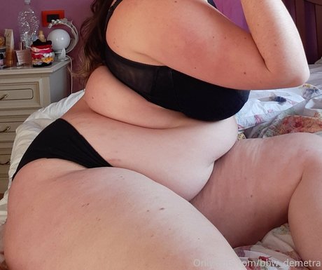 Bbwdemetra