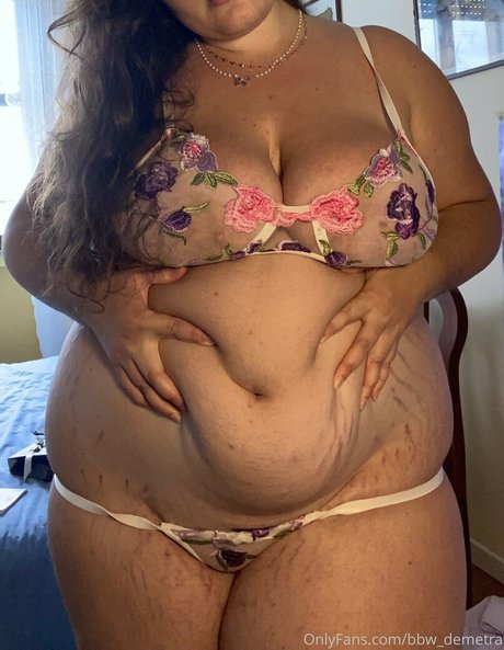 Bbwdemetra