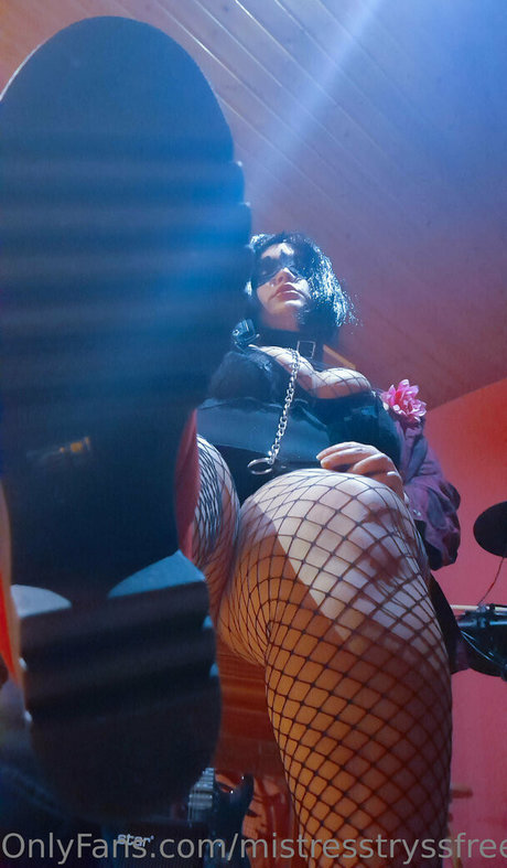 Mistresstryss