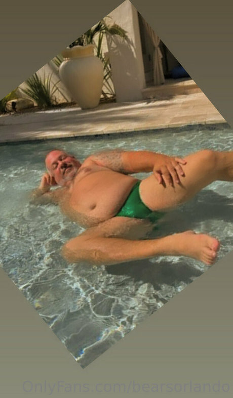 Bearsorlando