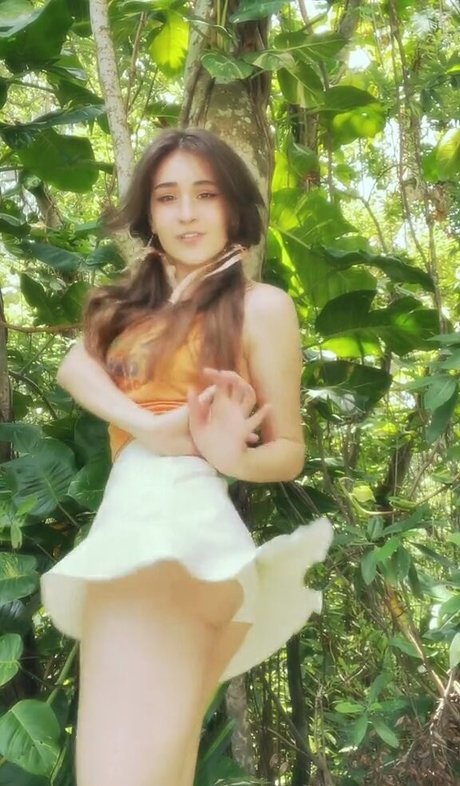 Blossom In The Moonlight