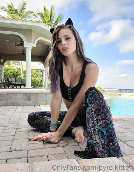 Pyro Kitten