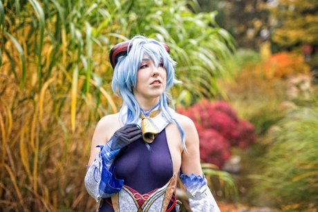 Pink Fluffy Kitchicorn