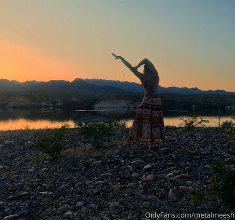 Metalmeesh