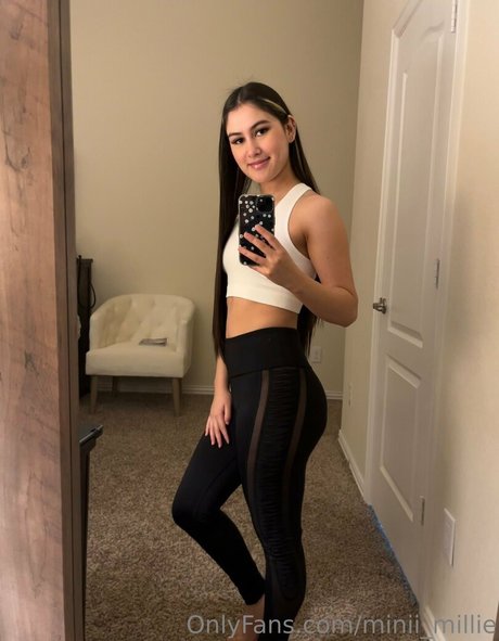 Miniimillie