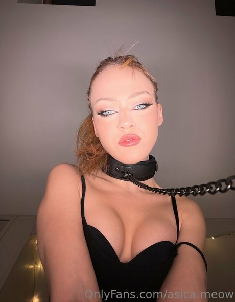 Asicameow
