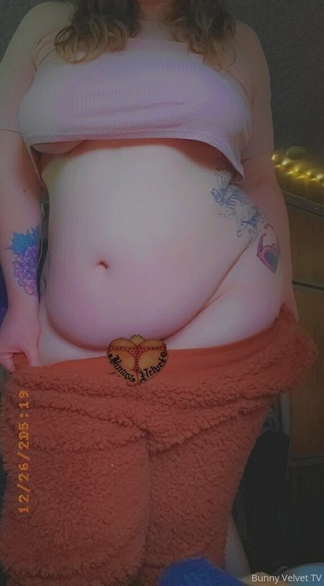 Bunnyvelvettvfree