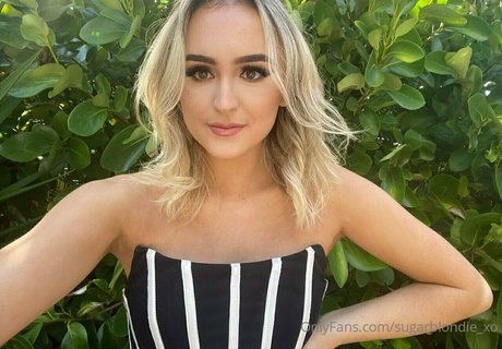 Sugarblondiexo
