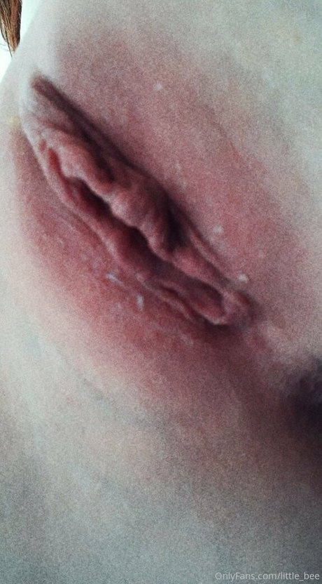 Littlebee