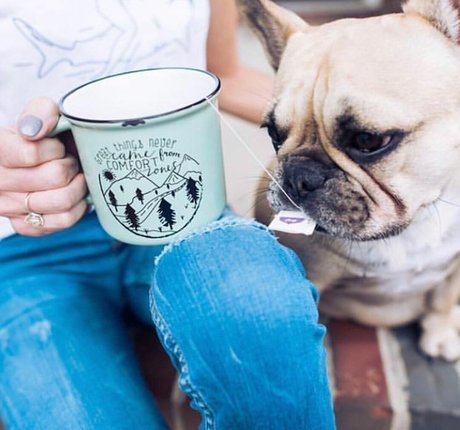 Michelle Laframboise