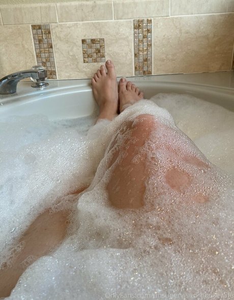 Unsupervisedhousewife