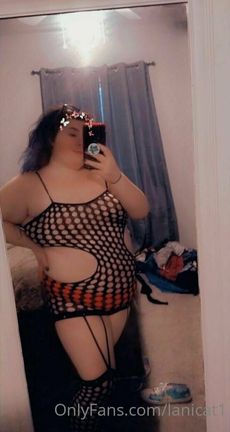 Lanicat1