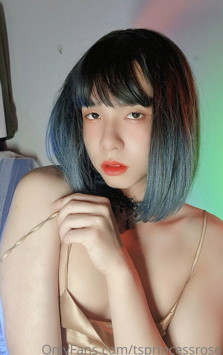 Tsprincessrose