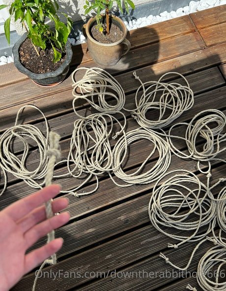 Downtherabbithole666