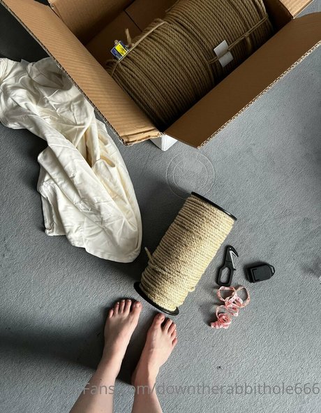 Downtherabbithole666