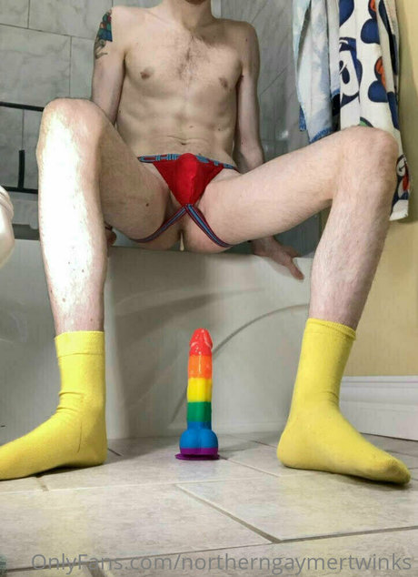 Northerngaymertwinks